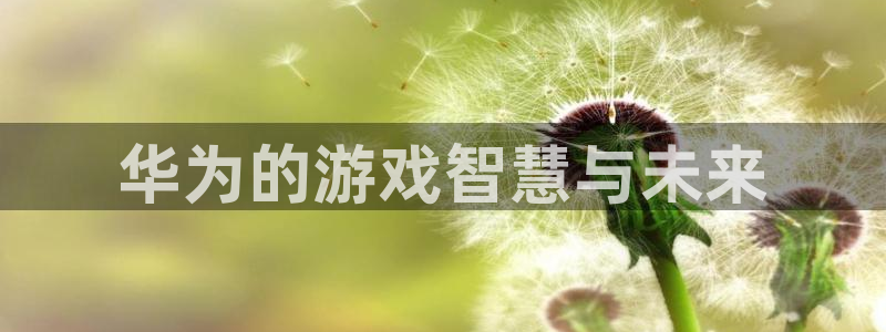 杏宇平台注册地址在哪里