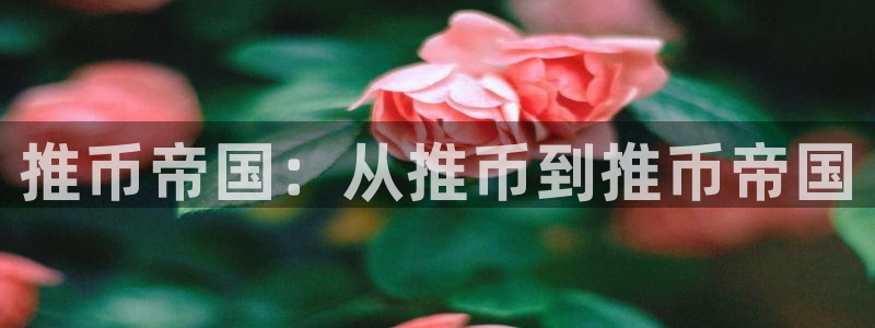 杏宇平台注册地址在哪里看到