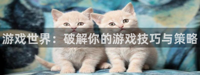 杏宇娱乐平台最新版下载苹果