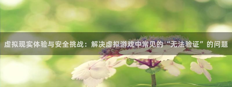 杏宇娱乐登录官网：虚拟现实体验与安全挑战：解决虚拟游戏中常见