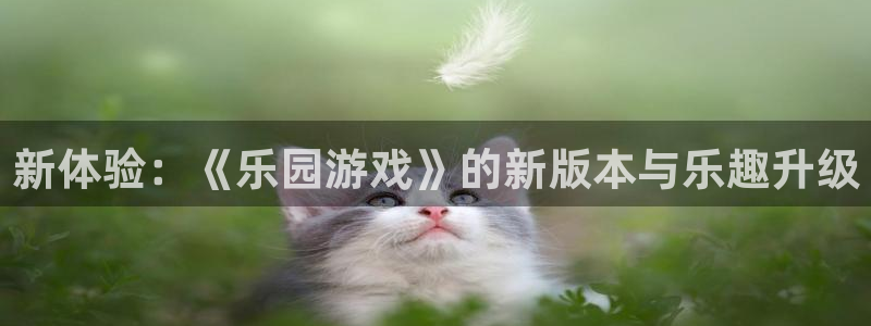 杏宇娱乐登录官网入口：新体验：《乐园游戏》的新版本与乐趣升级