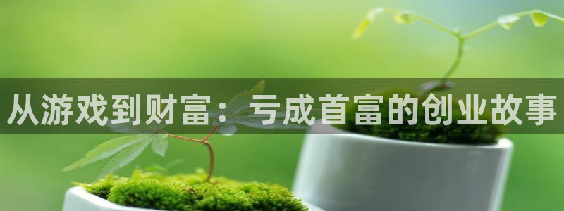 杏宇娱乐登录官网下载：从游戏到财富：亏成首富的创业故事