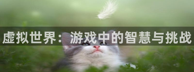 杏宇娱乐平台最新版下载官网安装