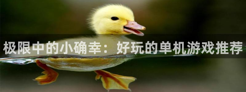 杏宇平台登陆入口