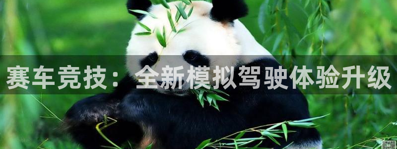 杏宇平台登陆入口地址