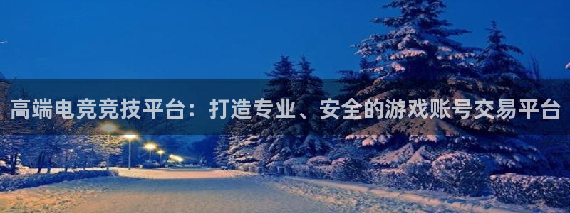 杏宇娱乐平台最新版下载官网：高端电竞竞技平台：打造专业、安全