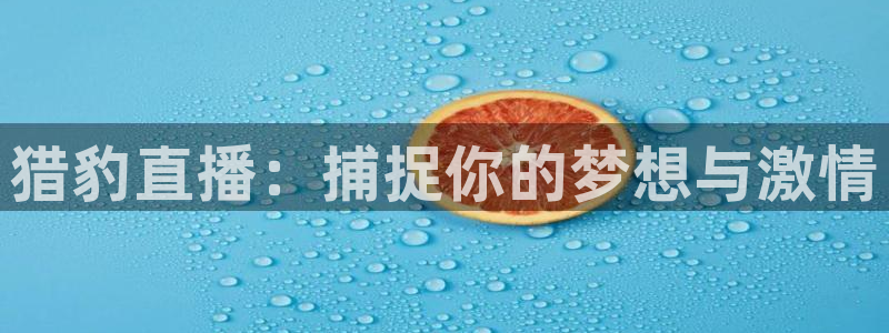 新闻图片