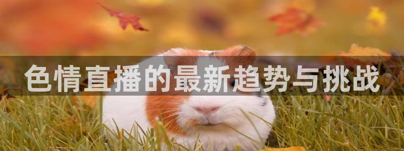咪咕体育视频直播官网：色情直播的最新趋势与挑战